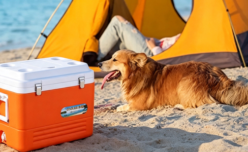 45L Large Capacity Foam Insulated Cooler with Skylight