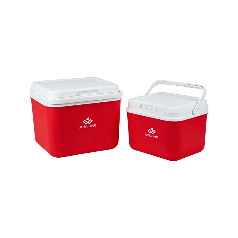 Mini Insulated Cooler Box for Lunch and Short Trips