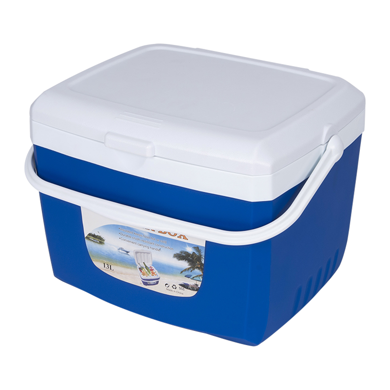 13L Plastic Insulated COOLER BOX With Handle