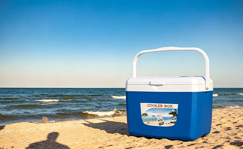 13L Plastic Insulated COOLER BOX With Handle