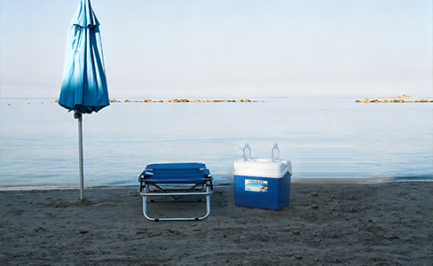 30L BPA-Free PORTABLE ICE BOX