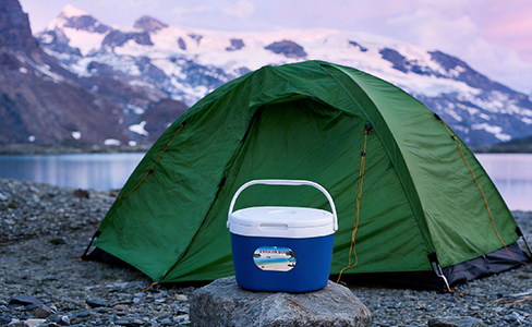 6L Mini Insulated Cooler with Carry Strap for Hiking