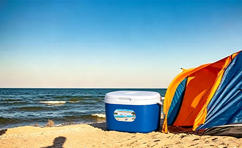 6L Mini Insulated Cooler with Carry Strap for Hiking