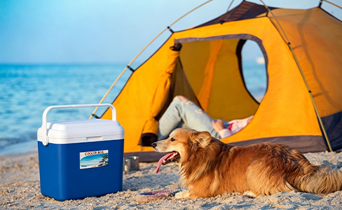 33L Multi-Purpose Cooler Box for Outdoor & Medical Transport