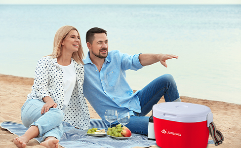 28L Insulated Cooler with Shoulder Strap for Beach and Camping