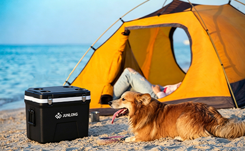 60L Rugged Cooler Box with Ice Pack Compartment for Outdoors